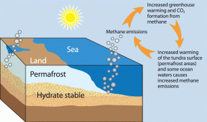 \"NL79-methane-diagram\"